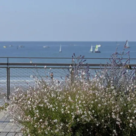 T2 Confortable, 2 Min De La Plage, Apercu Mer, Quartier Arago - Fr-1-92-572 דירה *